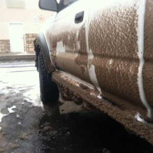 My sliders grew dreads, gross.