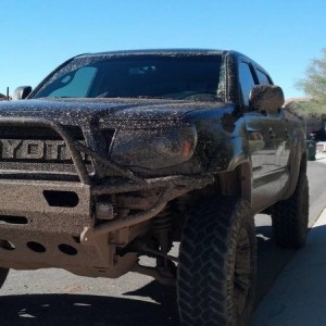 New Year Muddin!