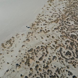 DJI_0081