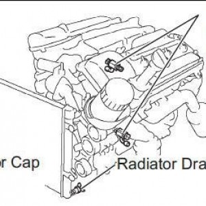 Radiator Drain Plugs