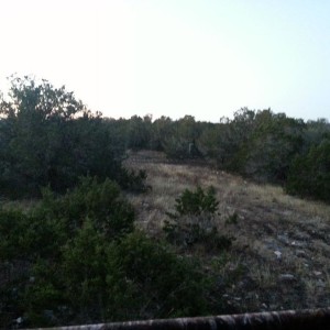 Morning hunt