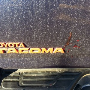 Blood splatter