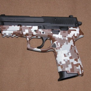 desert digital sig p2022