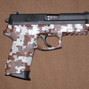 desert digital sig p2022