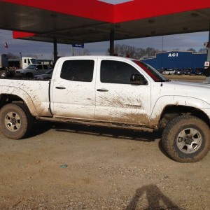 Headed back from Arkansas with some ducks and geese. :woot: