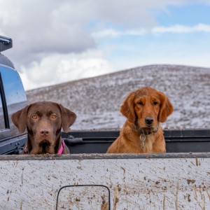are we there yet?