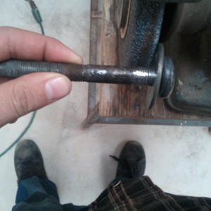 bedbolt