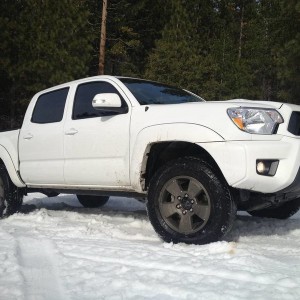 snowmobbin