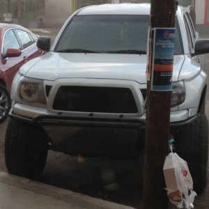 Fat
