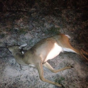 Filled the doe tag
