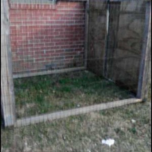 Chicken Coop