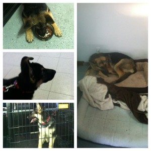 RIP Turbo! :(