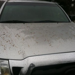 More mud.