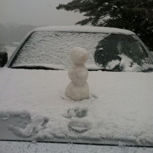 Taco snow man.