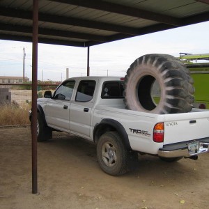 2008_holloween_029