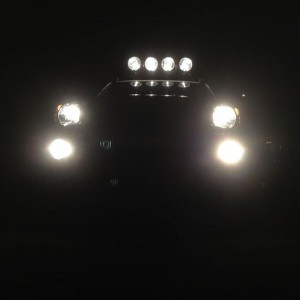 livesPL8G6