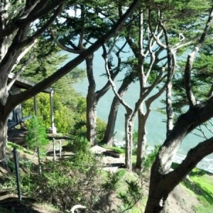 Muir Beach cabin