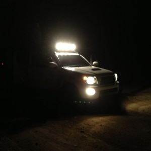 liveWtSWoi