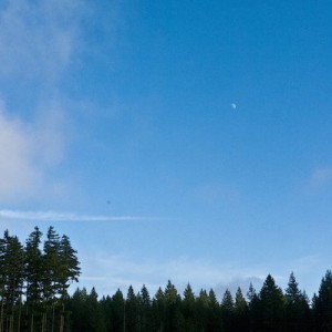 tahuya