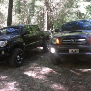tacoma meet