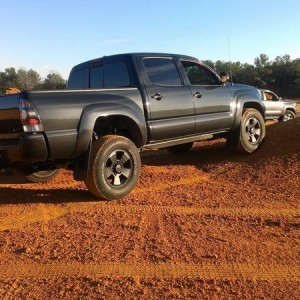 stock flex