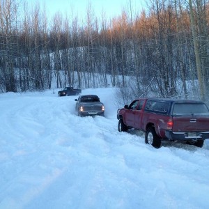 Alaska Sutton Meet