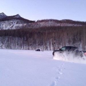 T Rex In the snow Sutton Alaska Meet