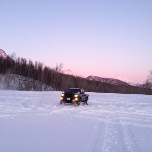 T Rex In the snow Sutton Alaska Meet