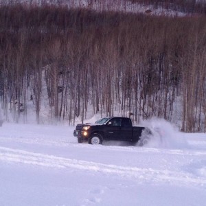T Rex In the snow Sutton Alaska Meet
