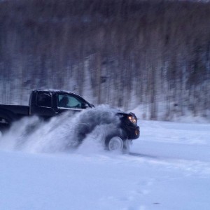 T Rex in snow Sutton alaska Meet