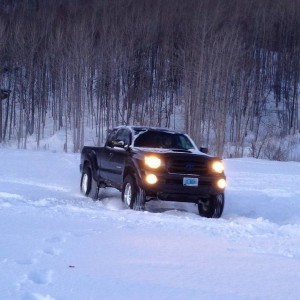T Rex in snow Sutton alaska Meet