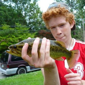 Bass