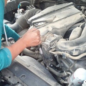 Jasmine replacing the drive belt