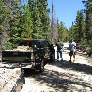 Firewood Gathering