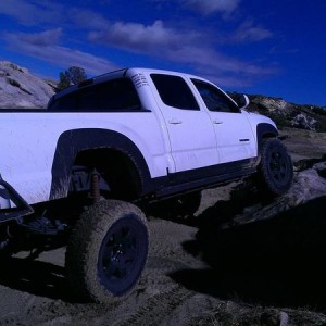 New Flex