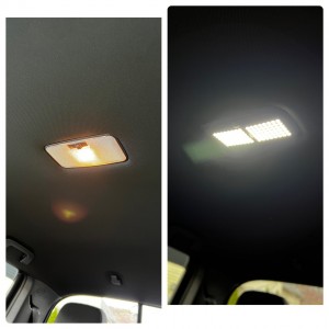 Meso dome light