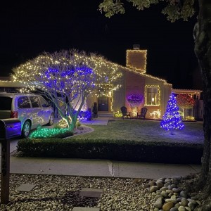 Christmas lights - 2021