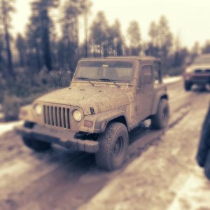 jeep taryn