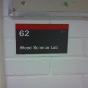 they be growin da weed in there.