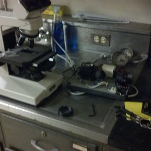 I have the mechanical and electrical skills of a retarded se lion but yet t