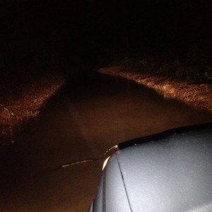 This "creek" is usually barely trickling across the road. Typical