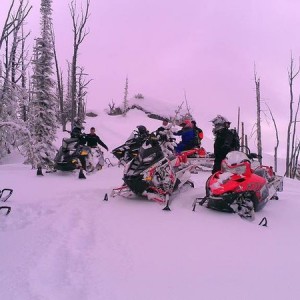 Ryder's day of Paradise