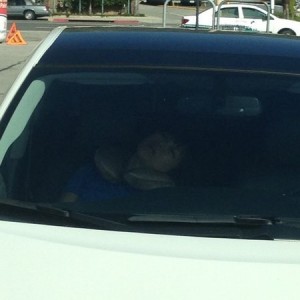 Honked my horn, no movement