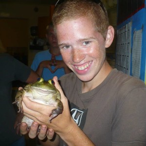 Giant Frog