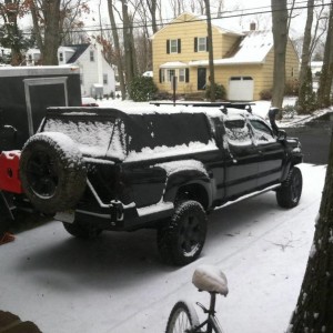 cbi bushmaster