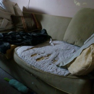 I might need a new couch