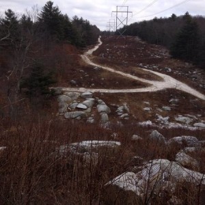 image1005