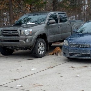 IMG_20130202_110023