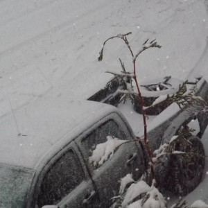 DSCF04004