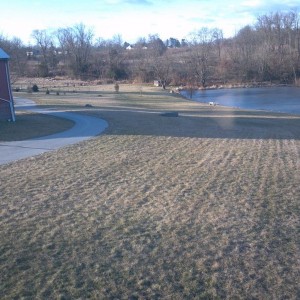 Some snow storm huh